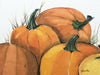 Pumpkins - box of 8