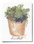 Succulent Note Card - Box of 8